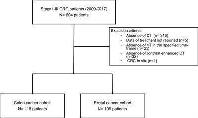 Myosteatosis Differentially Affects the Prognosis of Non-Metastatic Colon and Rectal Cancer Patients: An Exploratory Study